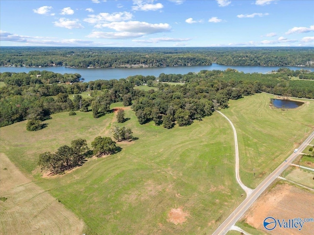 19660 Cox Rd, Athens, AL 35611 - bird's eye view with a water view and a forest view