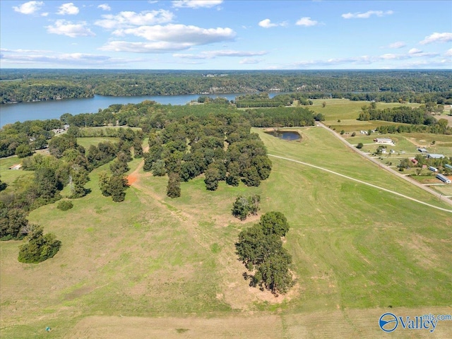 19660 Cox Rd, Athens, AL 35611 - drone / aerial view featuring a water view