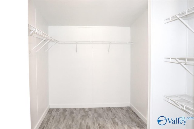 walk in closet featuring light wood-style floors