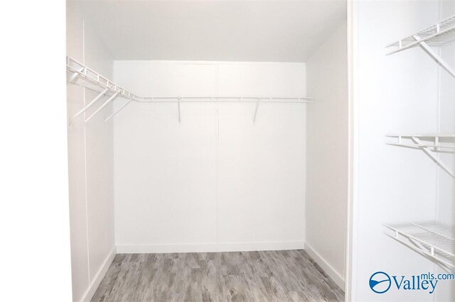 walk in closet with light wood-style flooring