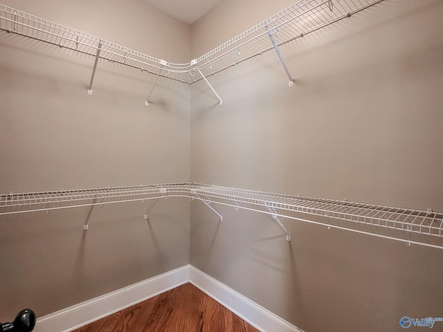 walk in closet with hardwood / wood-style flooring