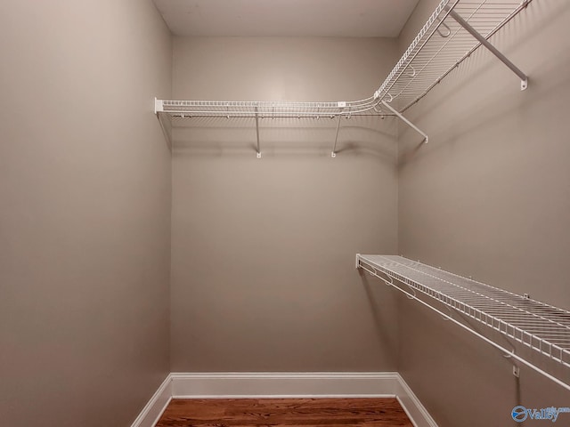 spacious closet with hardwood / wood-style flooring