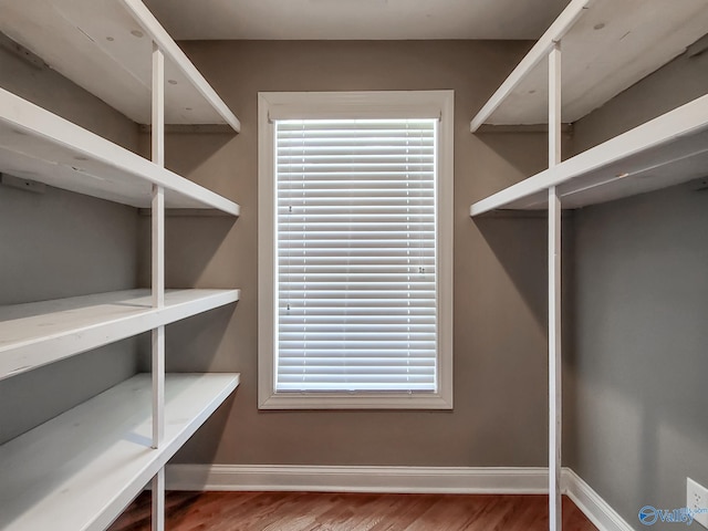 walk in closet with hardwood / wood-style floors