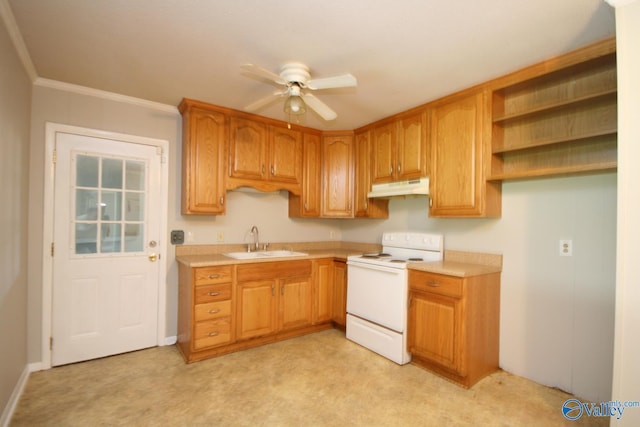 kitchen featuring crown molding, sink, white electric stove, and light carpet