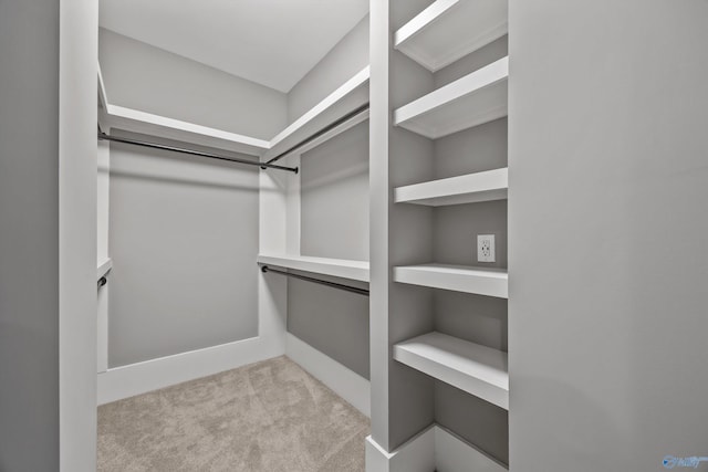 2603 Whitesburg Dr, Huntsville, AL 35801 - walk in closet featuring carpet