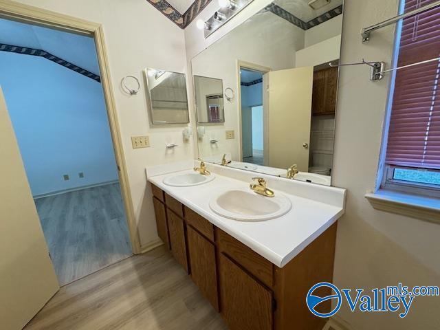 bathroom featuring wood-type flooring and vanity