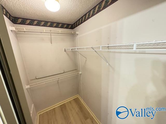 walk in closet with hardwood / wood-style floors