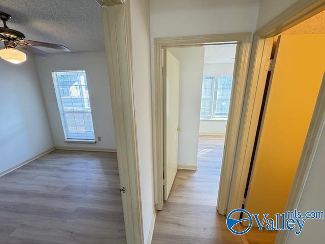 hallway featuring light hardwood / wood-style floors and a textured ceiling