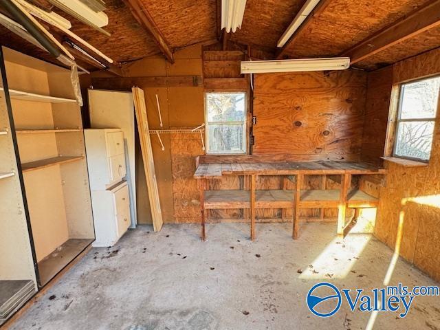 misc room featuring a workshop area, plenty of natural light, and lofted ceiling