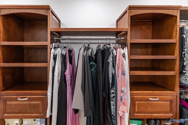 view of walk in closet