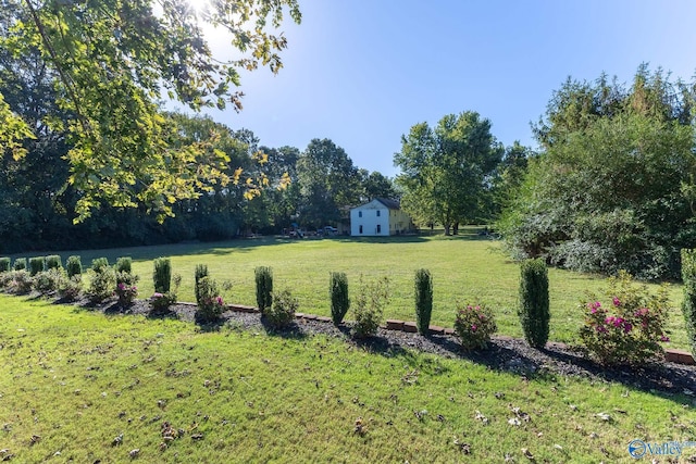 view of yard featuring a rural view