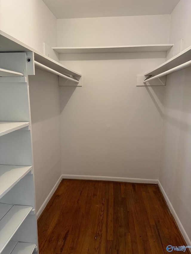 spacious closet featuring wood finished floors