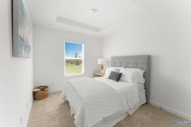 carpeted bedroom with a raised ceiling