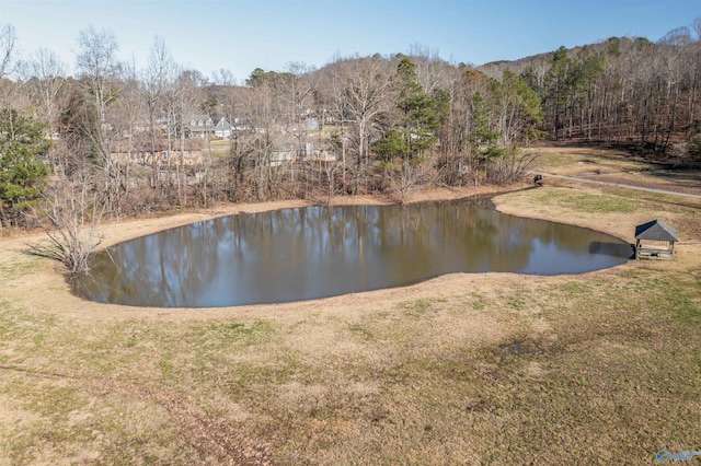 view of water feature