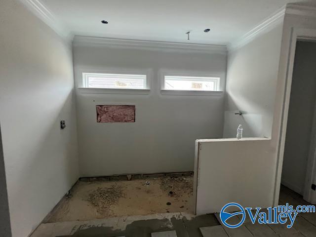 bathroom with ornamental molding