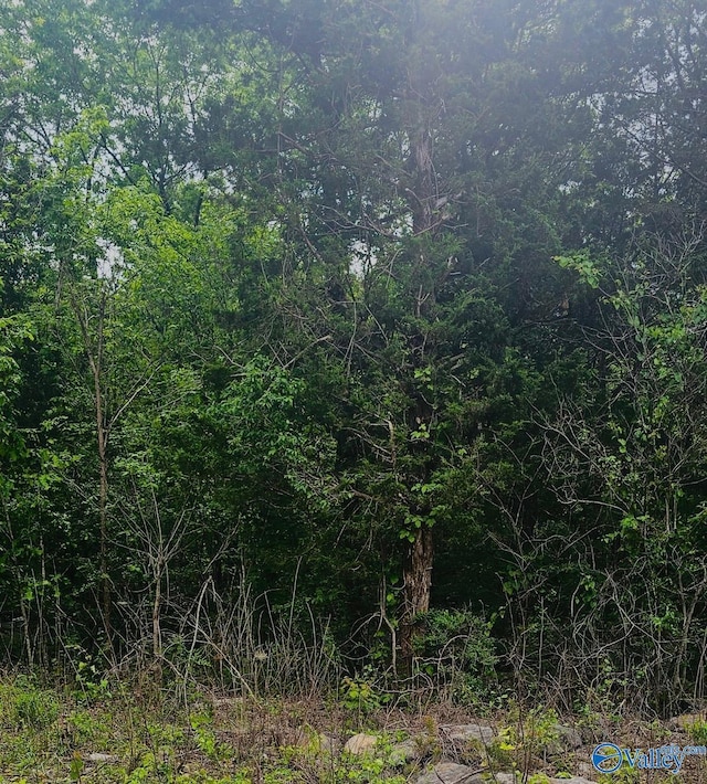 2.0ACRES County Road 84, Danville AL, 35619 land for sale