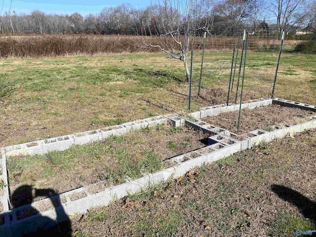 view of yard featuring a rural view