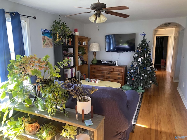 living room with ceiling fan and hardwood / wood-style floors