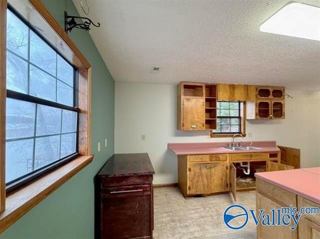 kitchen with sink and a textured ceiling