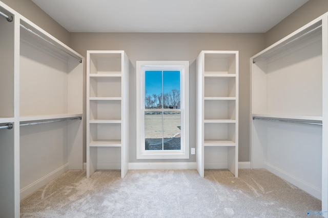 spacious closet featuring carpet floors