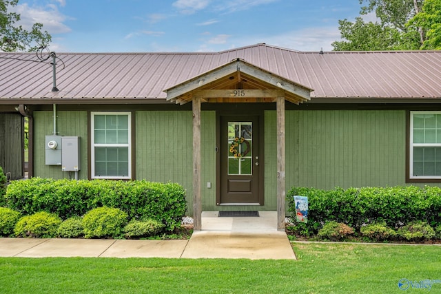 915 County Road 349, Leesburg, AL 35983 - exterior space featuring a front lawn and metal roof