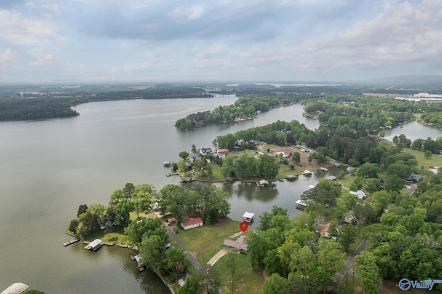 915 County Road 349, Leesburg, AL 35983 - bird's eye view with a water view