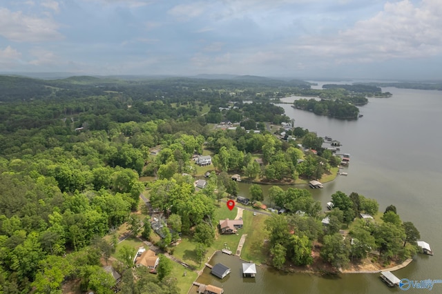 915 County Road 349, Leesburg, AL 35983 - drone / aerial view with a view of trees and a water view