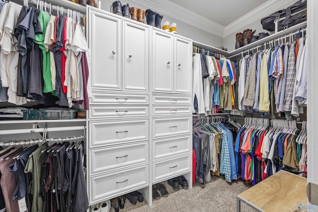 7417 Nature Walk Way SE, Owens Cross Roads, AL 35763 - spacious closet featuring carpet flooring