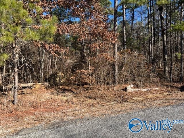 LOT33 Odonnell Rd, Ashville AL, 35953 land for sale