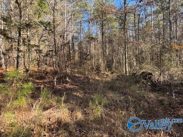 Listing photo 2 for LOT33 Odonnell Rd, Ashville AL 35953