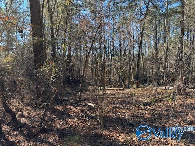 Listing photo 3 for LOT33 Odonnell Rd, Ashville AL 35953