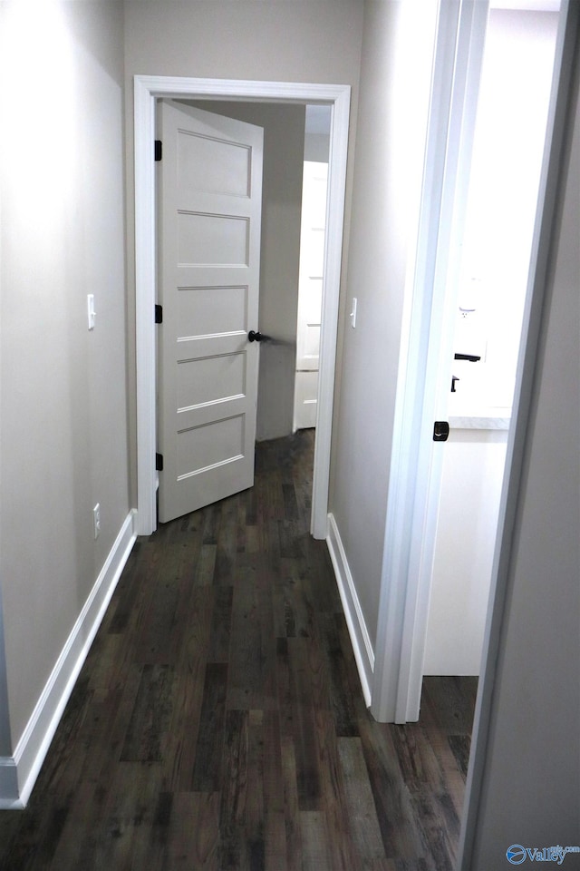 hallway featuring dark hardwood / wood-style flooring