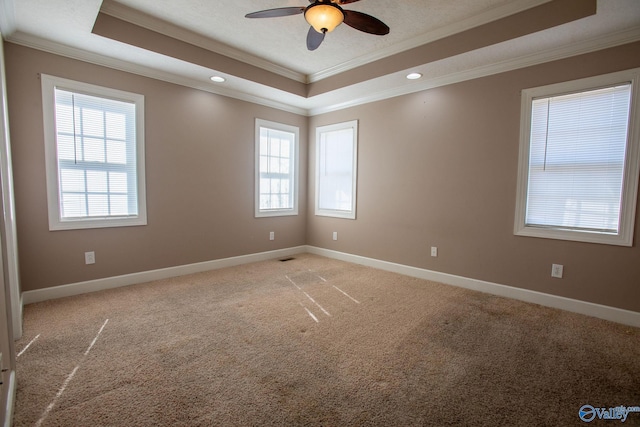 spare room with plenty of natural light, a raised ceiling, and light carpet