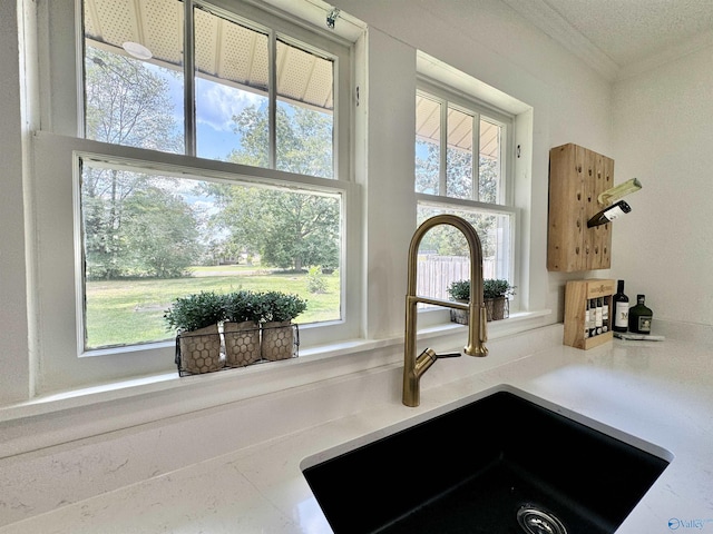 details featuring ornamental molding, light countertops, and a sink