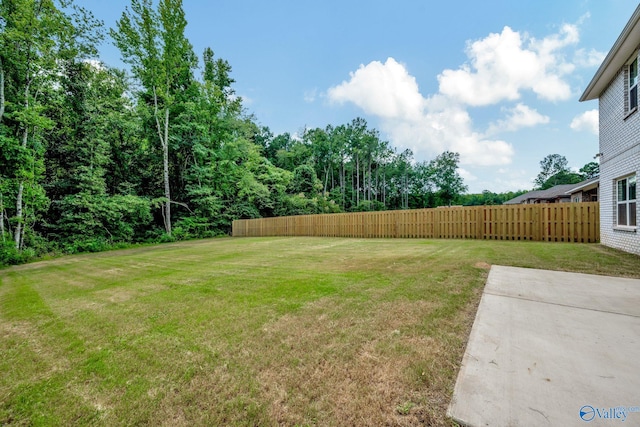 view of yard featuring a patio