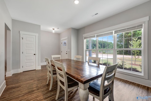 dining space featuring dark wood-type flooring