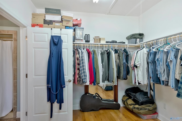 walk in closet featuring wood finished floors