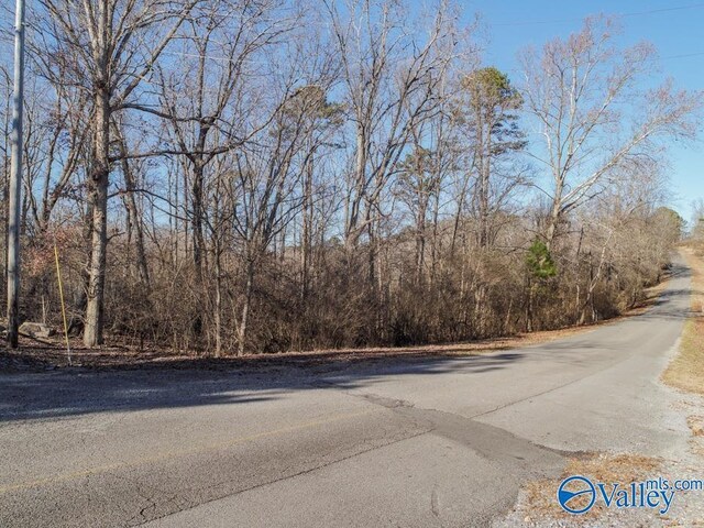 Listing photo 2 for 90ACRES Cardessa Ln, Grant AL 35747