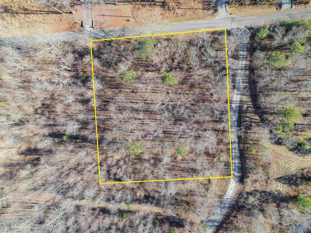 Listing photo 3 for 90ACRES Cardessa Ln, Grant AL 35747