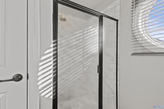 interior details with an enclosed shower