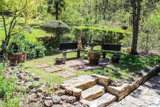 view of yard with a patio area