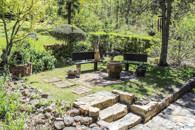 view of yard featuring a patio area