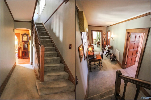 stairway with carpet flooring and crown molding