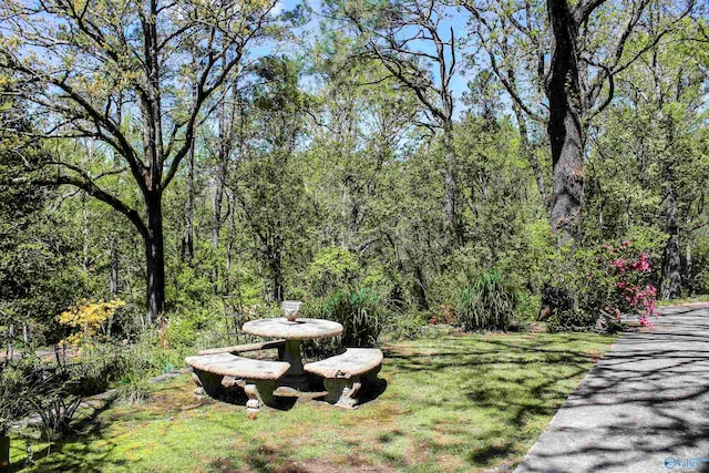 view of property's community featuring a yard