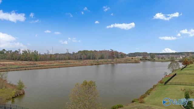 17902 Watercress Dr, Athens, AL 35611 - water view