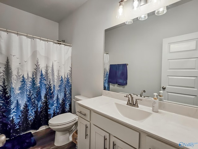 bathroom featuring vanity, toilet, and wood finished floors