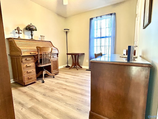 office space with ceiling fan and light wood-type flooring