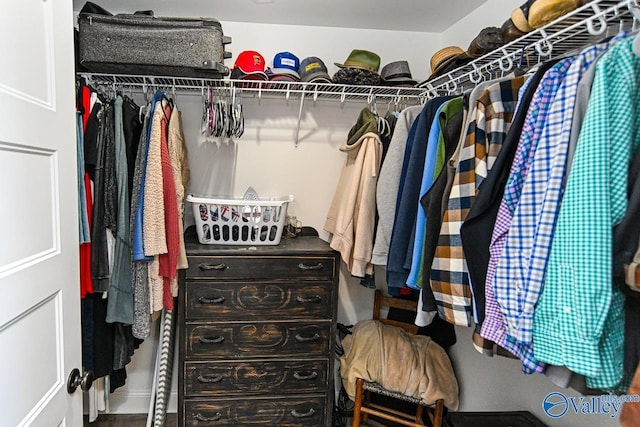 view of spacious closet