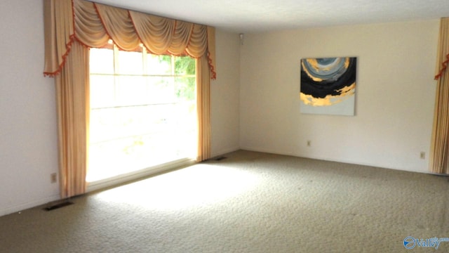 spare room with carpet flooring and plenty of natural light