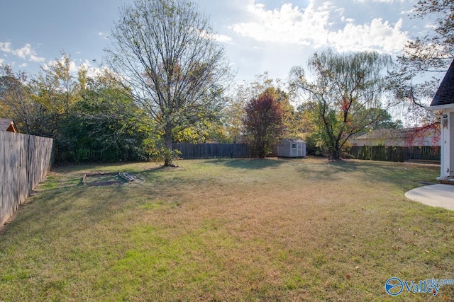 view of yard with a storage shed